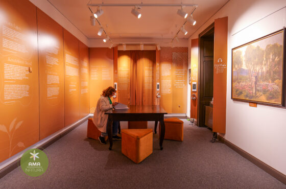 Castelul Teleki - Muzeul Petőfi Sándor - Coltău, Maramureș