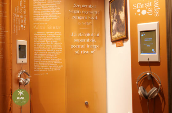 Castelul Teleki - Muzeul Petőfi Sándor - Coltău, Maramureș