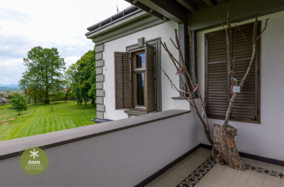 Castelul Teleki - Muzeul Petőfi Sándor - Coltău, Maramureș