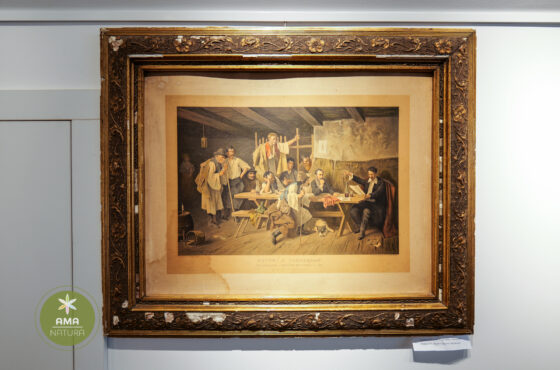 Castelul Teleki - Muzeul Petőfi Sándor - Coltău, Maramureș