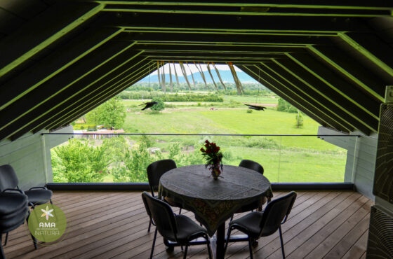 Castelul Teleki - Muzeul Petőfi Sándor - Coltău, Maramureș