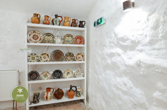 Castelul Teleki - Muzeul Petőfi Sándor - Coltău, Maramureș