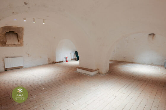 Castelul Teleki - Muzeul Petőfi Sándor - Coltău, Maramureș