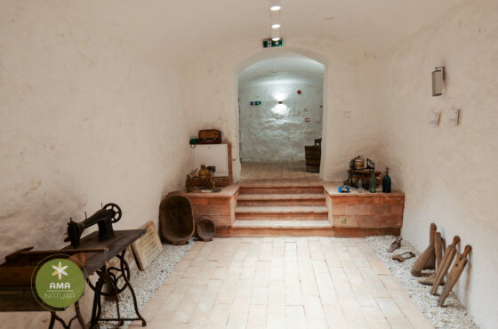 Castelul Teleki - Muzeul Petőfi Sándor - Coltău, Maramureș