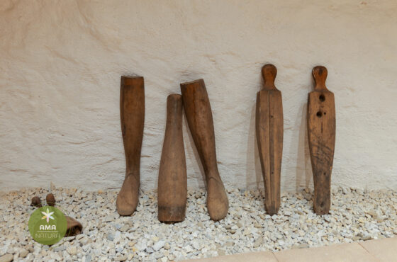 Castelul Teleki - Muzeul Petőfi Sándor - Coltău, Maramureș