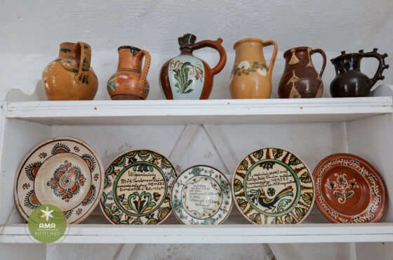 Castelul Teleki - Muzeul Petőfi Sándor - Coltău, Maramureș