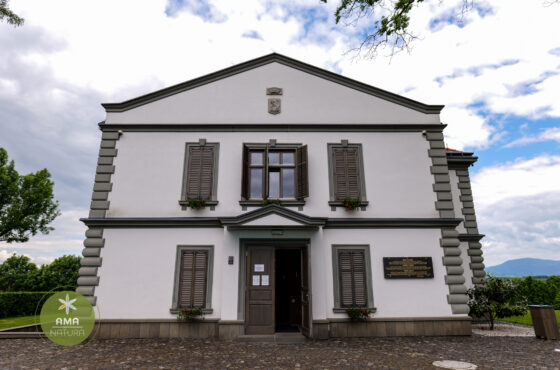 Castelul Teleki - Muzeul Petőfi Sándor - Coltău, Maramureș