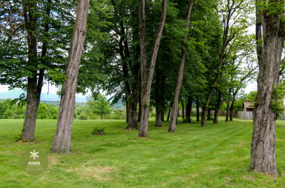 Castelul Teleki - Muzeul Petőfi Sándor - Coltău, Maramureș