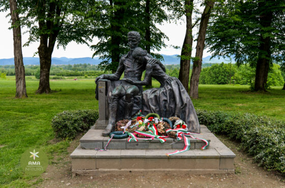 Castelul Teleki - Muzeul Petőfi Sándor - Coltău, Maramureș