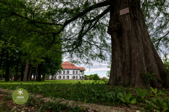 Castelul Teleki – Muzeul Petőfi Sándor