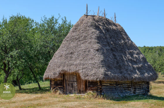 Un colț de Rai în Aspra, Maramureș – șura veche acoperită cu fân