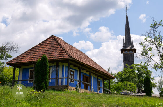 Muzeul Satului Baia Mare