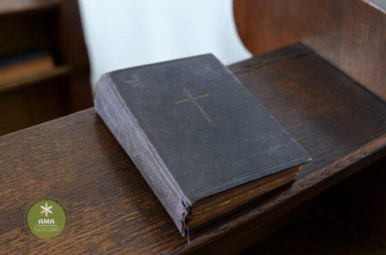 Descoperă Biserica Evanghelică‑Luterană din Baia Mare – 1911/1912 🕍