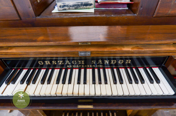 Descoperă Biserica Evanghelică‑Luterană din Baia Mare – 1911/1912 🕍