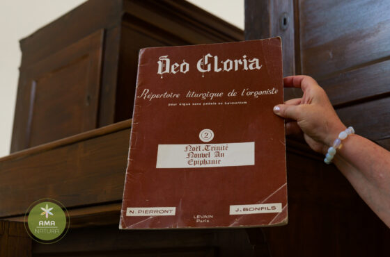 Descoperă Biserica Evanghelică‑Luterană din Baia Mare – 1911/1912 🕍