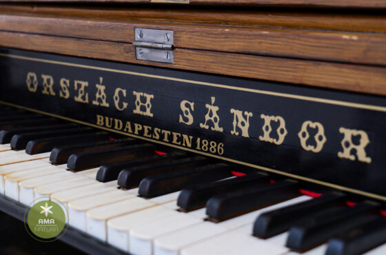 Descoperă Biserica Evanghelică‑Luterană din Baia Mare – 1911/1912 🕍