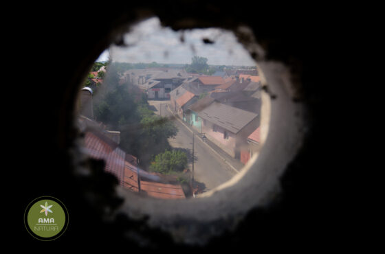 Descoperă Biserica Evanghelică‑Luterană din Baia Mare – 1911/1912 🕍