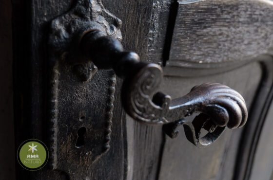 Descoperă Biserica Evanghelică‑Luterană din Baia Mare – 1911/1912 🕍